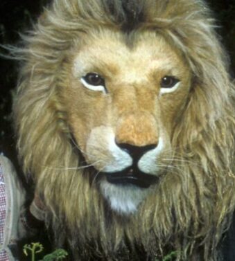 The Lion the Witch and the Wardrobe - 4 Players Group Script