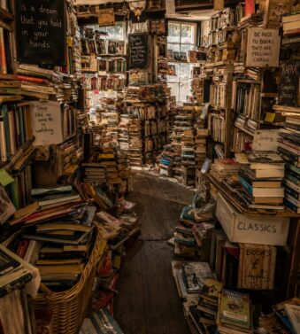 In the Bookshop